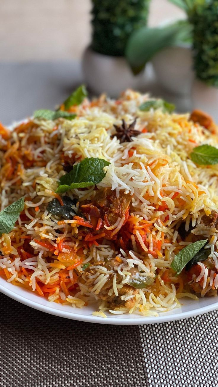 Plain Biryani