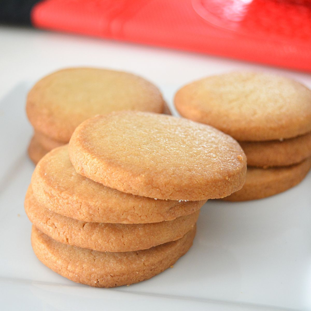 Salt Biscuit