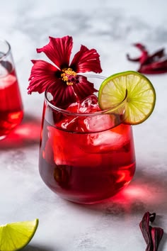 Hibiscus Kombucha